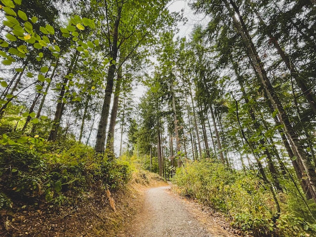 Maple Valley, Washington
